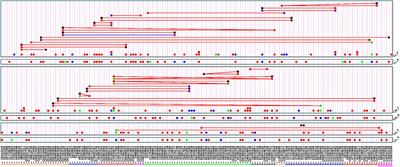 Dominance and Epistasis Interactions Revealed as Important Variants for Leaf Traits of Maize NAM Population